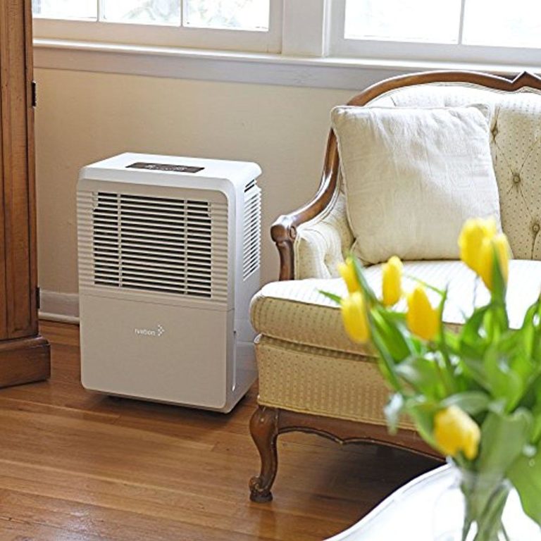 how-to-dispose-of-a-dehumidifier-the-best-way-to-do-it
