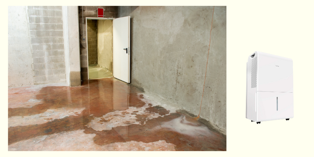 1000 sq ft basement dehumidifier