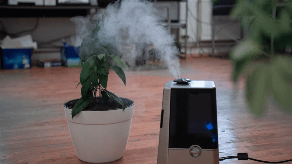 What is the safest type of humidifier