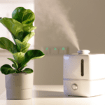 Best plant humidifier