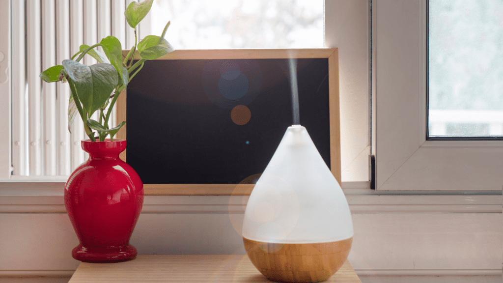 Humidifier Placement Guide: Our Answers To Commonly Asked Questions