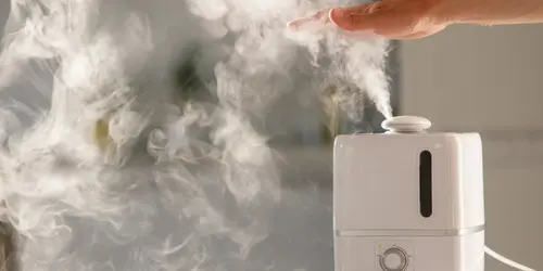 How to prevent humidifier mold?