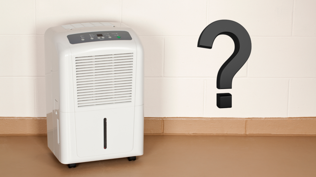 Is it better to rent or buy a dehumidifier?