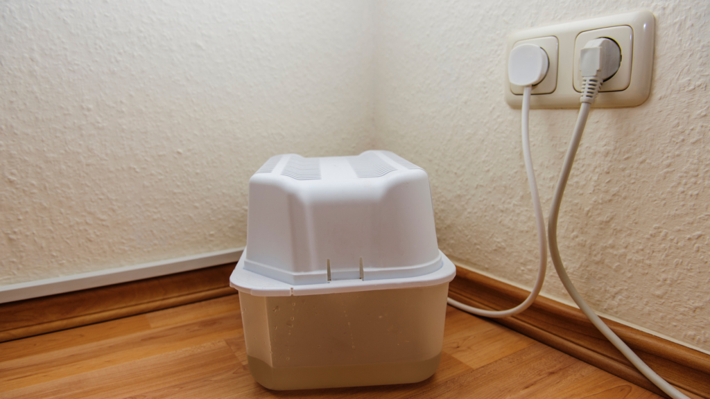 What to look for when before you rent a dehumidifier