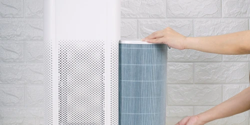 What are the factors you should consider before buying air purifier for chemical sensitives?